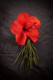 Exotic hibiscus sales, hibiscus care, and hibiscus cultivation. Duplex Paper Artificial Hibiscus Flower Rs 40 Piece Manuj Enterprises Id 22511035873