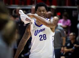 Image result for Baissea