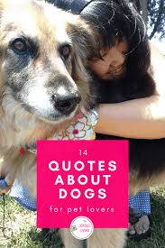 Poems for loss of a pet as long as there has been recorded writing, there has been poetry. 14 Beautiful Pet Loss Quotes And Poems