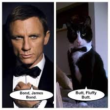 Sandy Nadeau, Author