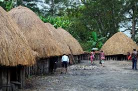 Maybe you would like to learn more about one of these? Mengenal Rumah Adat Honai Khas Papua Yang Unik