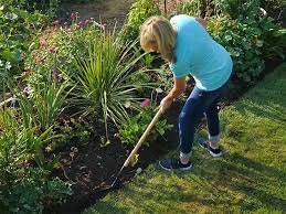 We did not find results for: How To Edge A Flower Bed Quickly Easily Helpful Tips Tricks