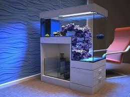Pin Ot Polzovatelya Ismail Civas Na Doske Saltwater Morskie Akvariumy Domashnij Akvarium Idei