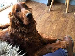 lets just hold hands mum