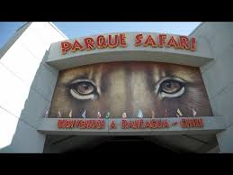 Maybe you would like to learn more about one of these? Parque Safari Una Increible Expedicion En Rancagua Hayqueir Youtube