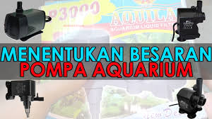Opsi pertama bagi anda yang menginginkan ikan hias air tawar tanpa oksigen adalah. Kebingungan Cara Menentukan Besaran Pompa Aquarium Yang Tepat Simak Tips Berikut Ini Video