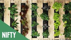 Follow these diy pallet garden instructions and you will be enjoying nature's bounty before you know it! Vertical Fruit And Veggie Pallet Garden Youtube