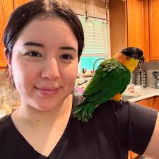 Baby white bellied caique parrots for sale in Willcox, AZ