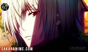 Anime cowok vio ramadhani wattpad. 12 Karakter Anime Cowok Berambut Putih Dengan Mata Merah Sakuranime