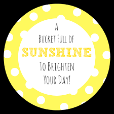 Check out our sunshine theme gift selection for the very best in unique or custom, handmade pieces from our shops. Brighten Someone S Day Bucket Full Of Sunshine Gift Idea