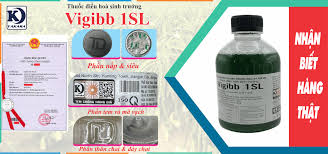 Vigibb 1SL