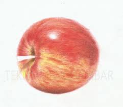 Januari 13, 2021 0 comments. Teknik Menggambar Buah Apel