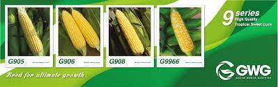All information about green world recycling, sdn. Green World Genetic Bred For Ultimate Growth