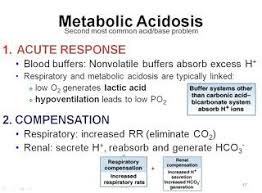 Medicine Newbie Sgd Compensation In Metabolic Acidosis Metabolic Acidosis Acidosis Acidosis And Alkalosis