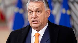 Hungary bans gay couples from adopting children, writes it into  constitution