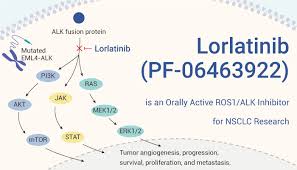 Image result for ALK Inhibitor