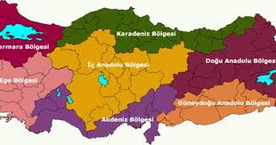 Turkiye Bolge Haritasi Evde Egitim Egitim Faaliyetleri Hayat Bilgisi