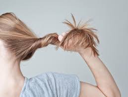 die 10 wichtigsten antworten auf eure fragen haarausfall frauen haarausfall haare fallen aus