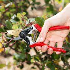 Mit dem gartenhaus aus holz zieht wohnlichkeit in ihren garten ein. Haus Garten Classicpro Titanium Bypass Pruning Shears Haus Garten