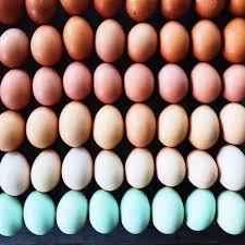 Photographer Arranges Foods In Beautiful Color Gradients That Will Soothe Your Soul Food Artists Food Photography Photographing Food