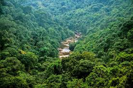 Shillong, capital city of meghalaya is a popular tourist destination and records thousands of tourists visiting there in summer every year. Meghalaya S Mawsynram Could Lose Wettest On Earth Status To This Place In Indonesia