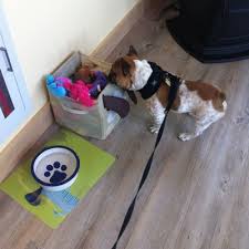 Maybe you would like to learn more about one of these? Animal Eye Care Of New England 14 Sandy Ln South Deerfield Ma Veterinarians Mapquest