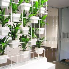 Green Walls Sydney Vertical Gardens Sydney Green Design Vertical Garden Green Wall Wall Partition Design