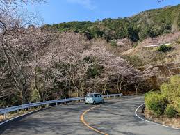 保津峡 ドライブ