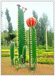 However, the original cactus plant is actually also easy to. Large Long Artificial Cactus Bar Fake Cactus For Outdoor Decoration Beautiful Artificial Cacuts For Big Plaza Landscaping Buy Indoor Decorative Potted Plant Artificial Plastic Cactus Artificial Small Potted Plant Product