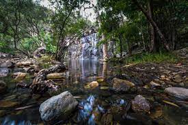 The boy died at cedar creek falls, a popular gold coast swimming hole, on thursday. Cedar Creek Falls Sailing Whitsundays
