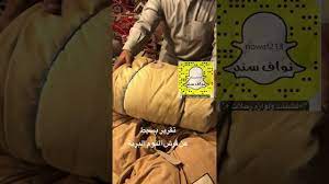 افضل فراش بر youtube