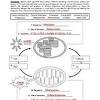 3 terms and answers to learn. 1