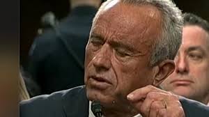 @Humanspective's video Tweet