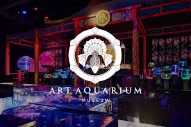 the official website of art aquarium in august 2020 the art aquarium museum will open in tokyo with the concept of art c aquarium 3d projection mapping art