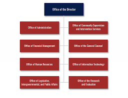 Who We Are About The Agency Organizational Structure Csosa