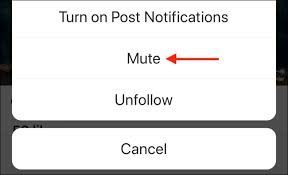 Tap and hold on the thumbnail for the account you want to mute and then tap mute accountname's story. How To Mute Someone On Instagram