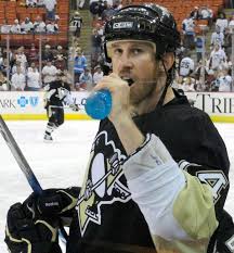 Steam key oficiais baratinhas, jogos em promoção o tempo todo, com preços mais em conta que no próprio steam, além de créditos para diversos jogos online: Datei Jay Mckee Pens Habs Game 5 2010 05 08 Jpg Wikipedia