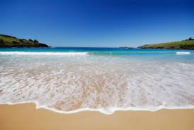 Image result for a beach