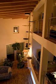 Floor To Ceiling Cat Tree Cat Tree Diy Cat Tree Cat Walkway
