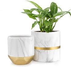 Plant pots outdoor home bargains. Amazon Com Homenote White Ceramic Flower Pot Garden Planters 6 4 8 Inch Pack 2 Indoor Plant Containers With Marble Texture And Gold Detailing Garden Outdoor