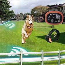 Electric dog fences buying guide. Above Ground Invisible Dog Fence Online