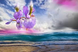 While there are extenuating circumstances where the type of flower carries a lot of weight, i believe that flower dreams can pretty much all be dealt with similarly, regardless of the type of. What Do Flowers Mean In Dreams Exemplore