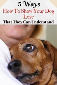5 Ways How To Show Your Dog Love That They Can Understand Dogs Trust Dog Care Dog Love