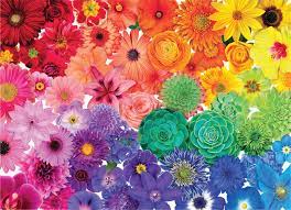 They take inspiration from the earth and. Puzzles For Adults 1000 Piece Flowers Jigsaw Puzzles For Family Friends Buy Online In Botswana At Botswana Desertcart Com Productid 217301208