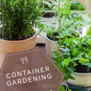 We did not find results for: 8 Steps To Start Easy Container Gardening On Any Patio Or Porch Practically Functional