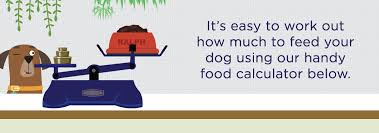 The benyfit natural online raw dog food calculator is designed to help you feed your dog the right daily amount of raw food. Healthy Dog Food Feeding Guide Guru Pet Food