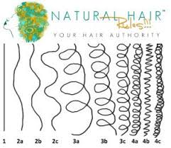 Natural Hair Typing Chart Natural Hair Styles Curly Hair Styles Hair Type