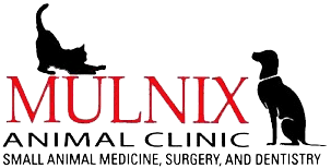 Hours may change under current circumstances Mulnix Animal Clinic Mulnix Animal Clinic