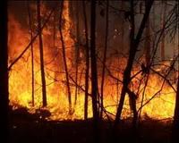 En elke week een recept. 2700 Personen In Veiligheid Gebracht Bij Felle Bosbrand Rondom Marseille Zuid Frankrijk Brandveilig