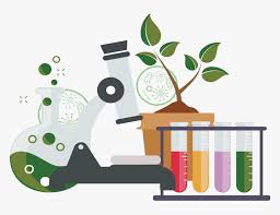 Pin the clipart you like. Biology Science Png Free Biology Science Transparent Biology Png Png Download Transparent Png Image Pngitem
